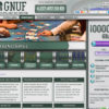 Gnuf casinospel