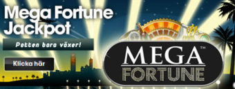 mega-fortune