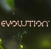 Free Spins på Evolution hos Vinnarum på söndag