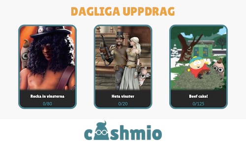 Dagens uppdrag hos Cashmio