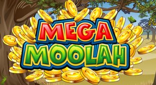 Mega Moolah jackpot