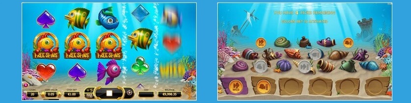 Fish Tank Bonus