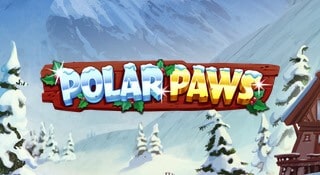 Polar Paws kommer snart