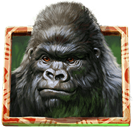 Gorilla Kingdom bonus