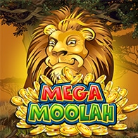 Mega Moolah - ett av de bästa casinospelen