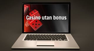 Besöker casino utan bonus i datorn