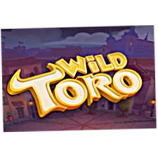Bild på Wild Toro slot