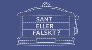 Bild på en spelautomat där det står "sant eller falskt?" på skärmen